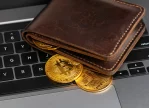 How to Safely Store Your Cryptocurrency with Multiple Wallets in India