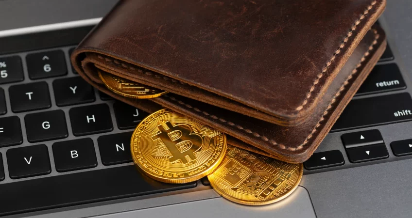 How to Safely Store Your Cryptocurrency with Multiple Wallets in India  